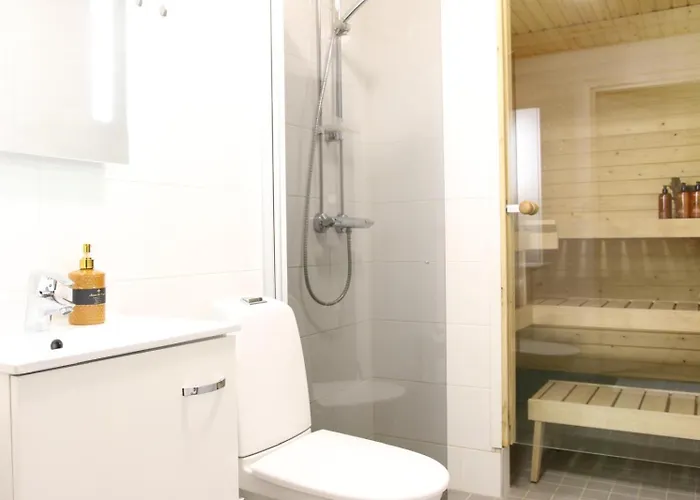 Arctic Aurora ロヴァニエミ